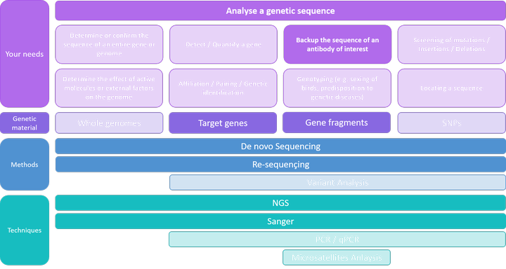 Analyse a genetic sequence - Backup the sequence of an antibody of interest