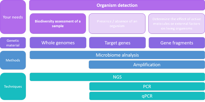 Organism detections - Biodiversity assessment of a sample