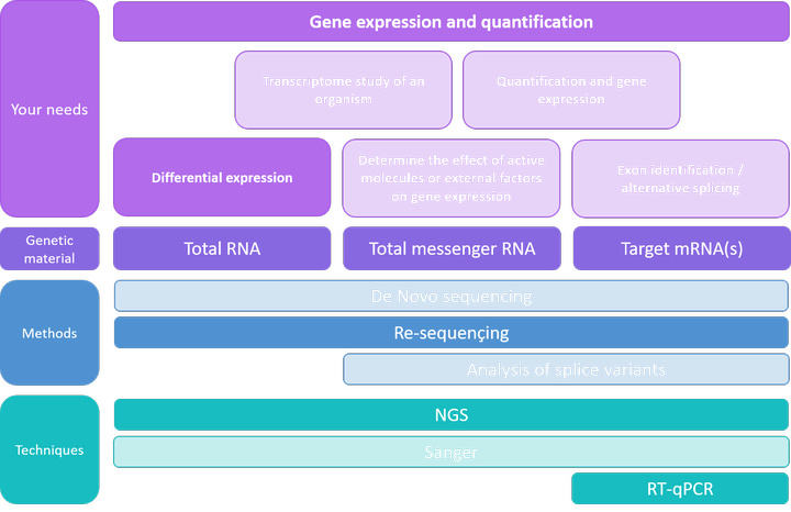 Gene expression and quantification - Differential expression