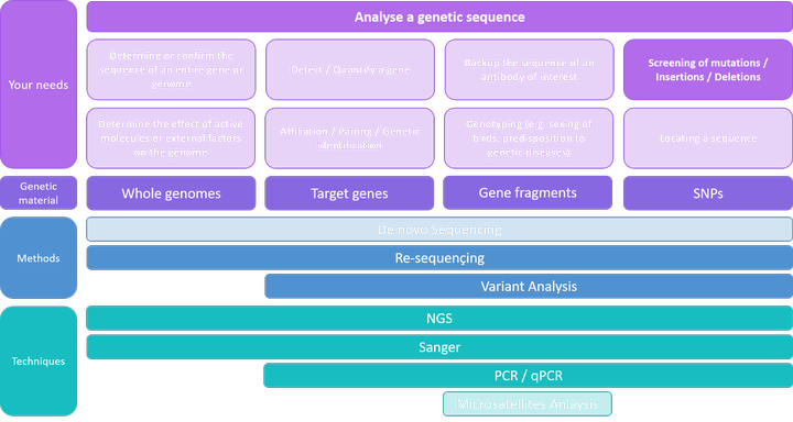 Analyse a sequence - screening of mutations, indels