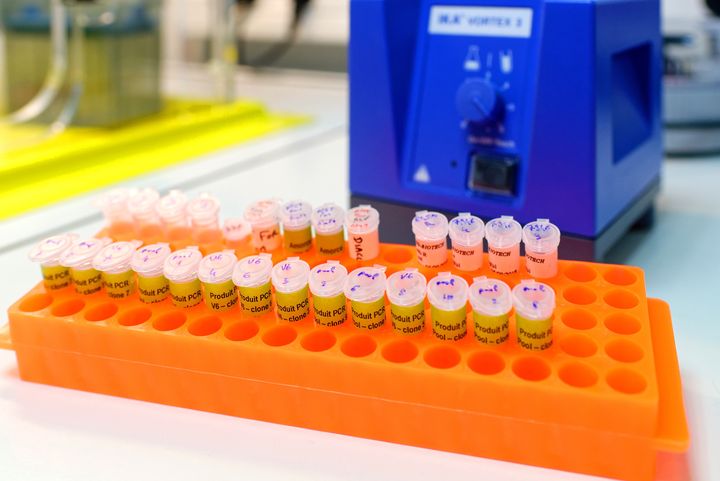 Rack with tubes containing extracted nucleic acids