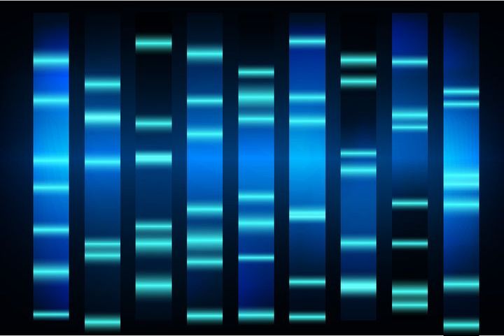 Résultats d'une analyse de microsatellites