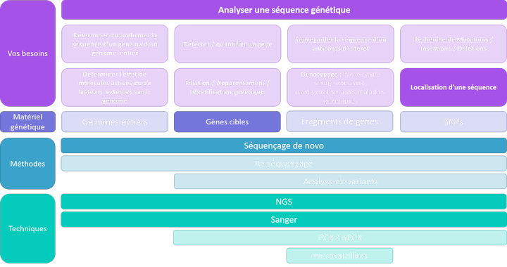 Analyser une séquence - localiser une séquence