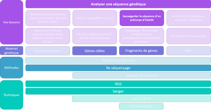 Analyser une séquence - sauvegarde d'anticorps monoclonaux