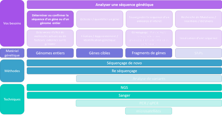 Analyser une séquence - Déterminer ou confirmer la séquence d'un gène