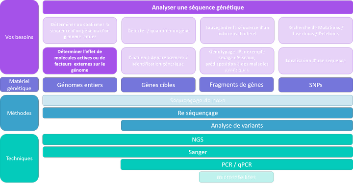 Analyser une séquence - effet de molécules ou de facteurs environnementaux