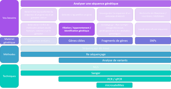 Analyser une séquence - filiation / apparentement / identification