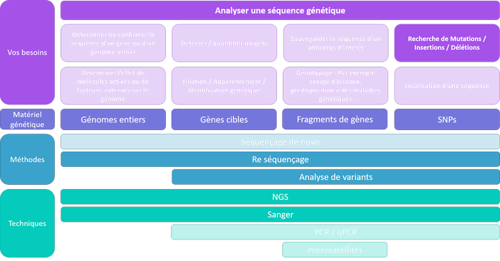 Analyser une séquence - recherche de mutation / indels