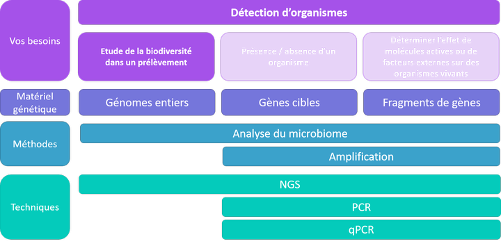 Détection d'organismes - étude de la biodiversité