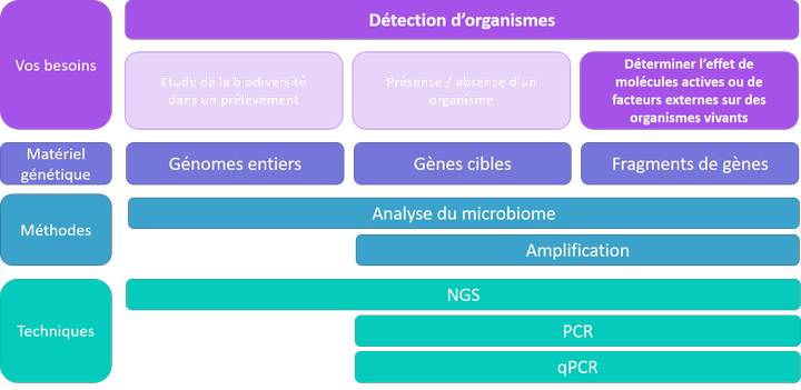 Détection d'organismes - effets de molécules ou de facteurs environnementaux