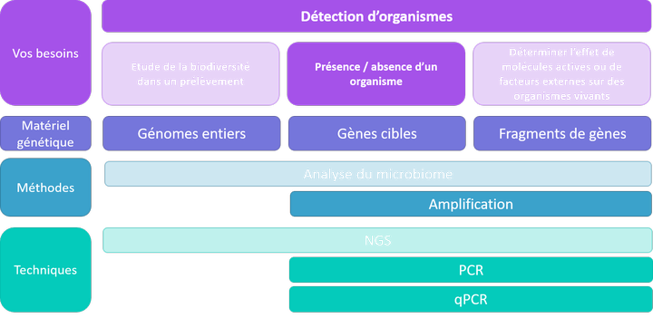 Détection d'organismes - présence / absence