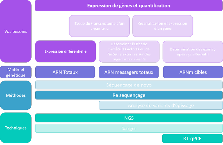 Expression et quantification - expression différentielle de gènes