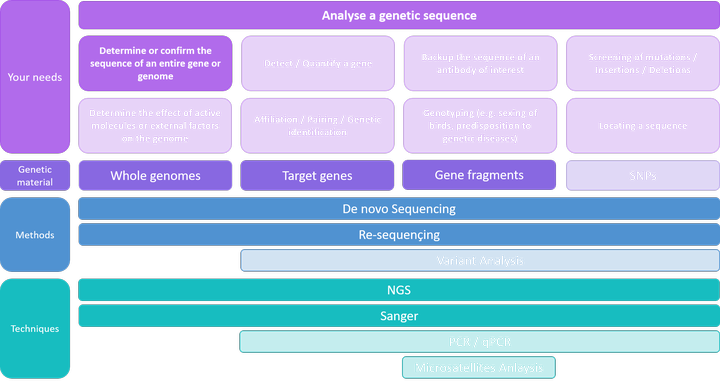 Analyser une séquence - Déterminer ou confirmer la séquence d'un gène