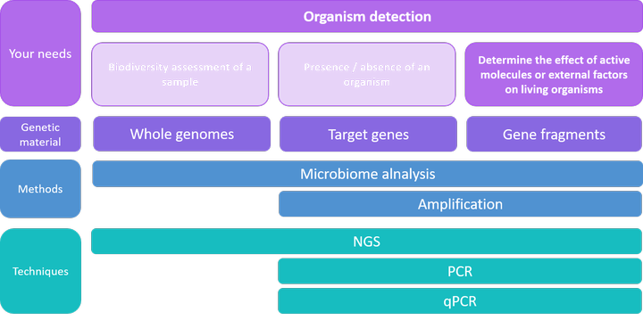 Determine the effect of active molecules or external factors on living organisms