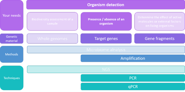 Existence / absence of an organism