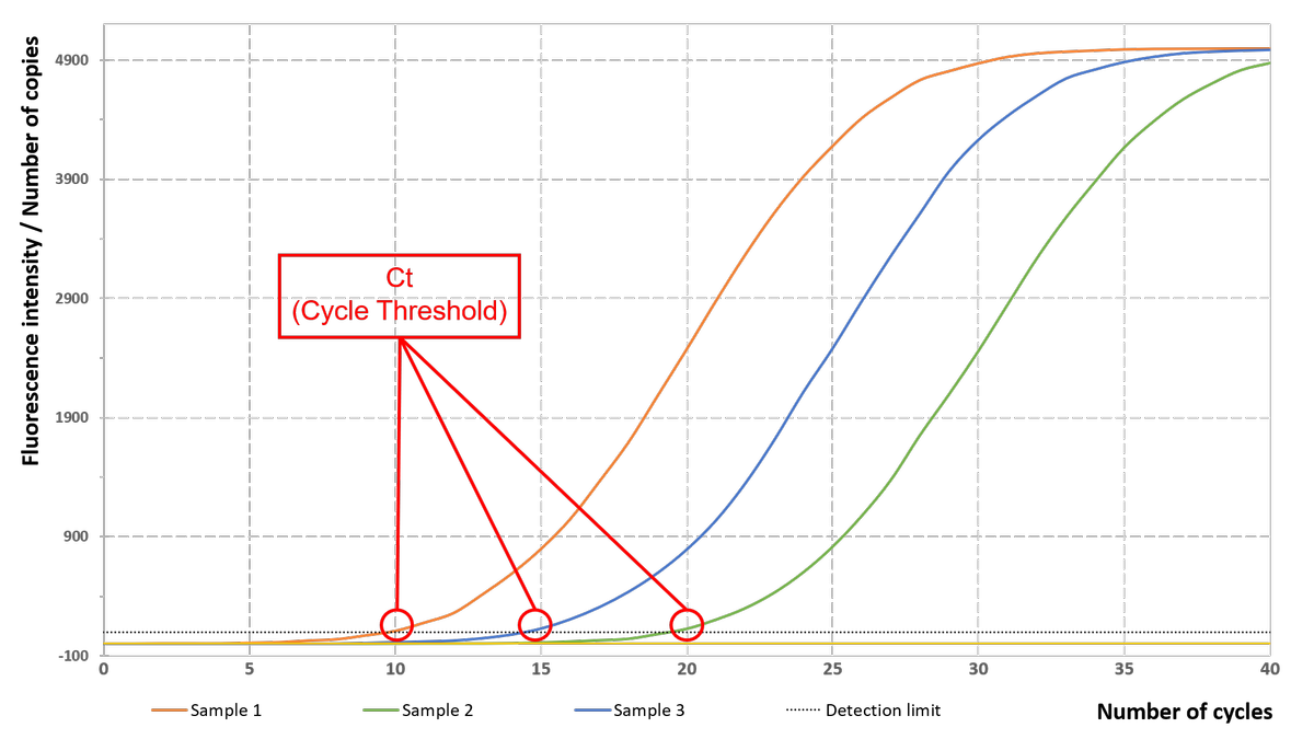 Comparison of qPCR results with a different amount of starting genetic material