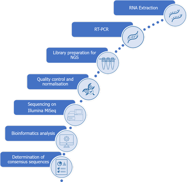 Methodology for antibody sequencing by NGS