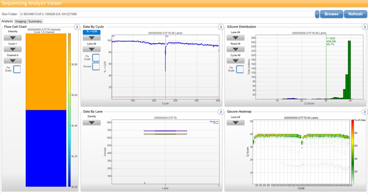 Screenshot during a sequencing on Illumina MiSeQ