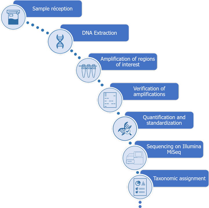 Methodology for food traceability by high-throughput sequencing