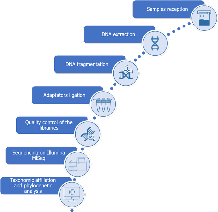 Microbiome analysis methodology by shotgun metagenomics