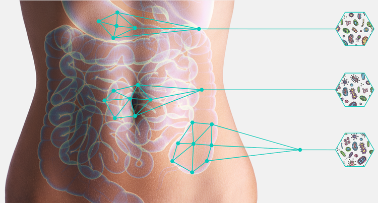 Analyse microbiome intestinale