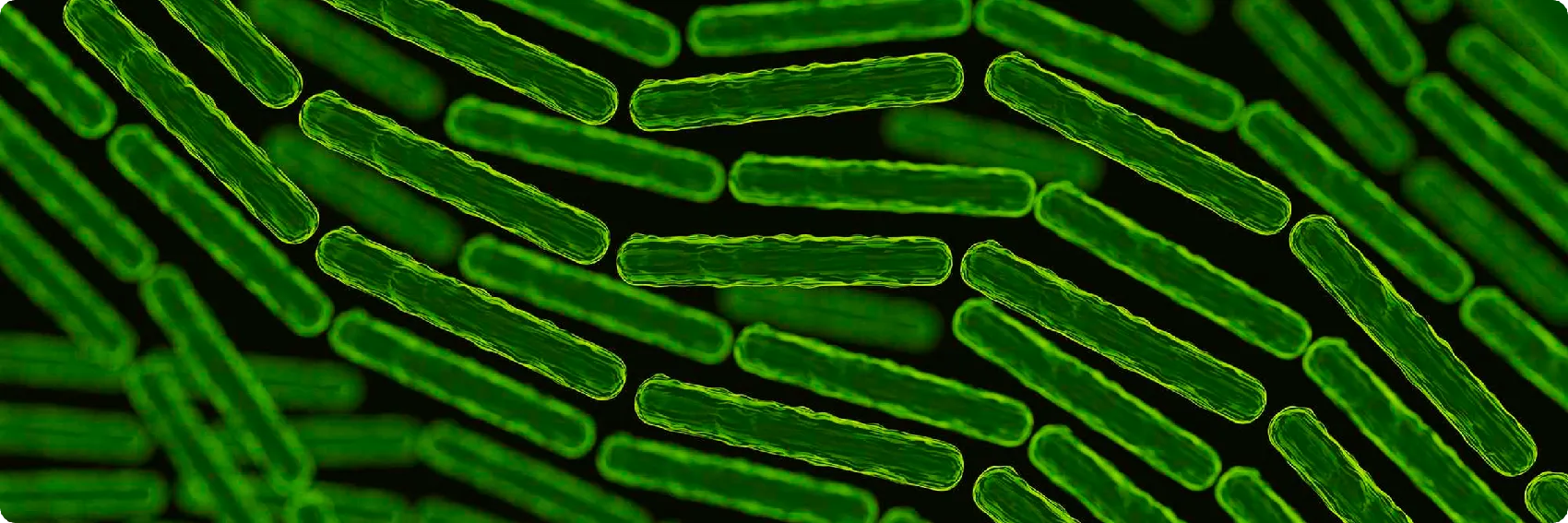 img-expression-differentielle-1